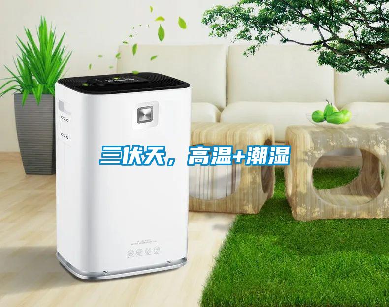 三伏天，高溫+潮濕