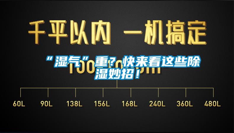 “濕氣”重？快來看這些除濕妙招！