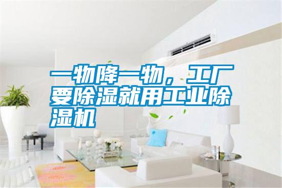 一物降一物，工廠要除濕就用工業(yè)除濕機(jī)