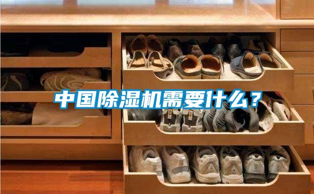 中國除濕機需要什么？