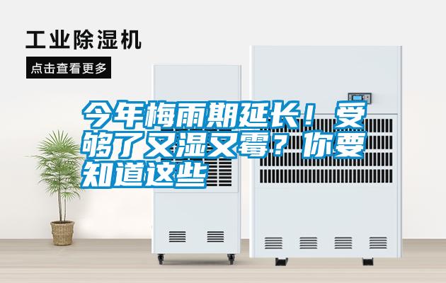 今年梅雨期延長！受夠了又濕又霉？你要知道這些
