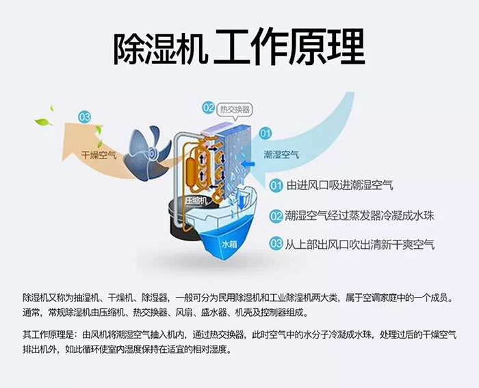 潮濕天氣狗最容易患上這種毛病！三個注意事項，鏟屎官一定要看看
