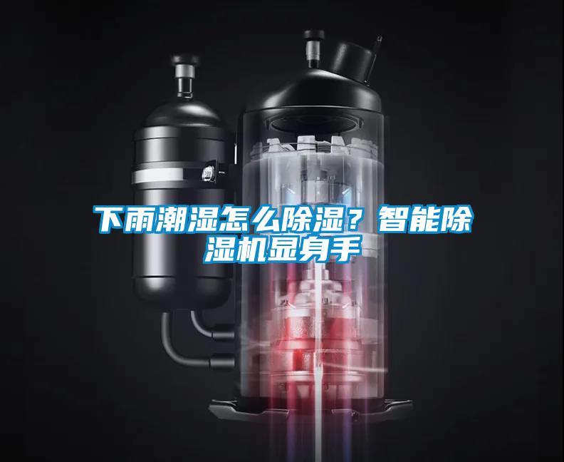 下雨潮濕怎么除濕？智能除濕機顯身手