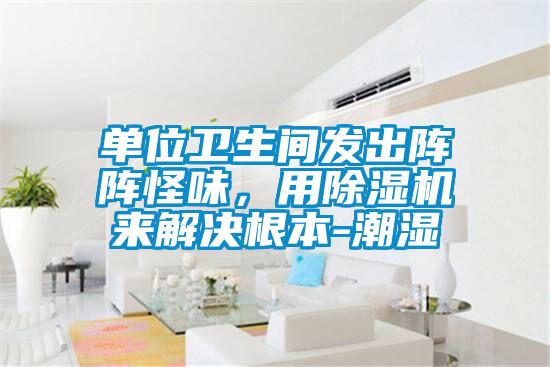 單位衛(wèi)生間發(fā)出陣陣怪味，用除濕機來解決根本-潮濕