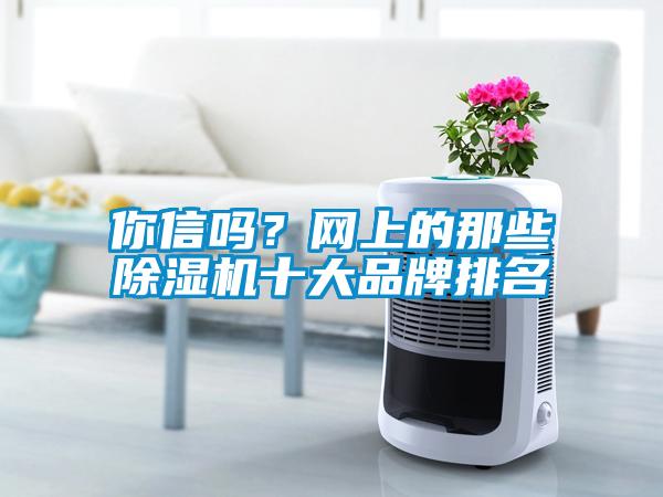 你信嗎？網(wǎng)上的那些除濕機十大品牌排名