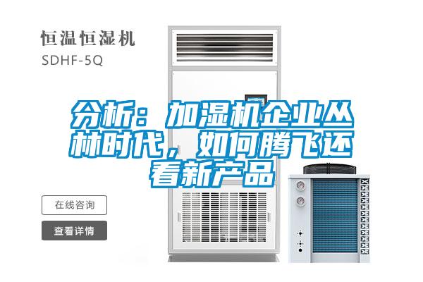 分析：加濕機企業(yè)叢林時代，如何騰飛還看新產品