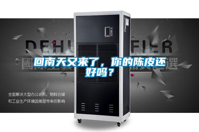 回南天又來了，你的陳皮還好嗎？