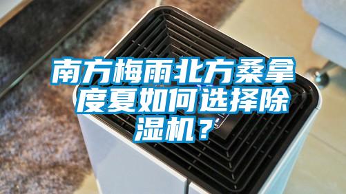 南方梅雨北方桑拿 度夏如何選擇除濕機？