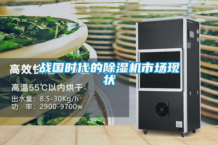 戰(zhàn)國時代的除濕機(jī)市場現(xiàn)狀