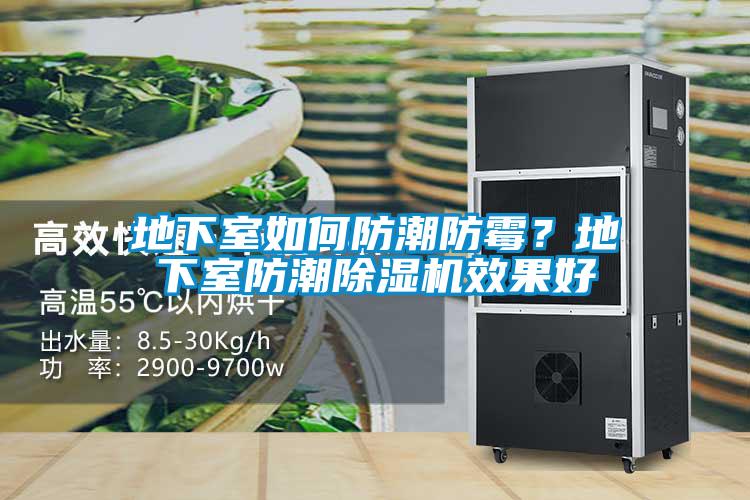 地下室如何防潮防霉？地下室防潮除濕機效果好