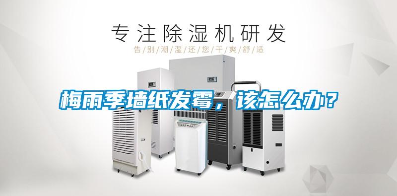 梅雨季墻紙發(fā)霉，該怎么辦？
