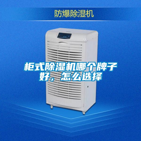 柜式除濕機哪個牌子好，怎么選擇
