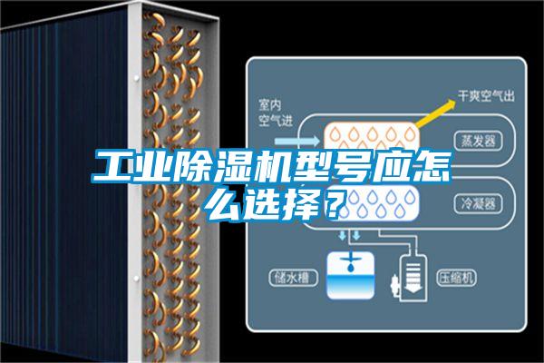 工業(yè)除濕機(jī)型號應(yīng)怎么選擇？