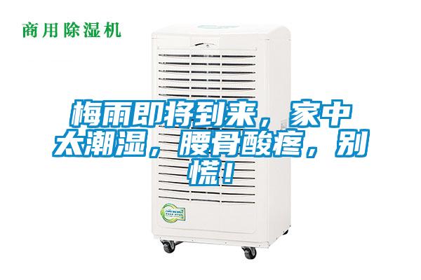 梅雨即將到來，家中太潮濕，腰骨酸疼，別慌！