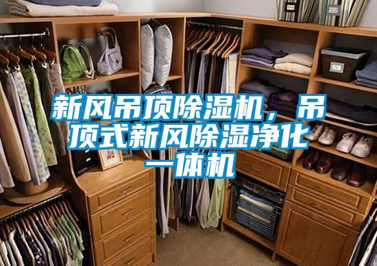 新風(fēng)吊頂除濕機，吊頂式新風(fēng)除濕凈化一體機