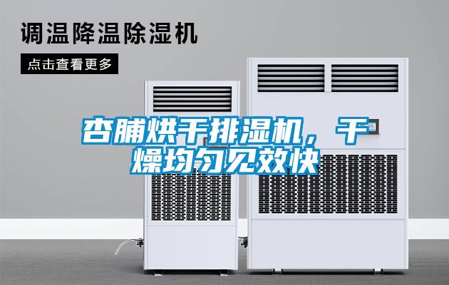 杏脯烘干排濕機，干燥均勻見效快