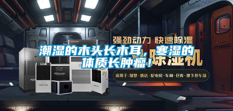潮濕的木頭長(zhǎng)木耳，寒濕的體質(zhì)長(zhǎng)腫瘤！