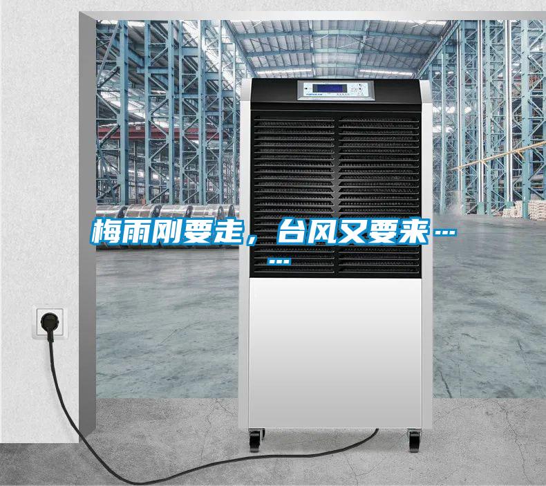 梅雨剛要走，臺(tái)風(fēng)又要來……