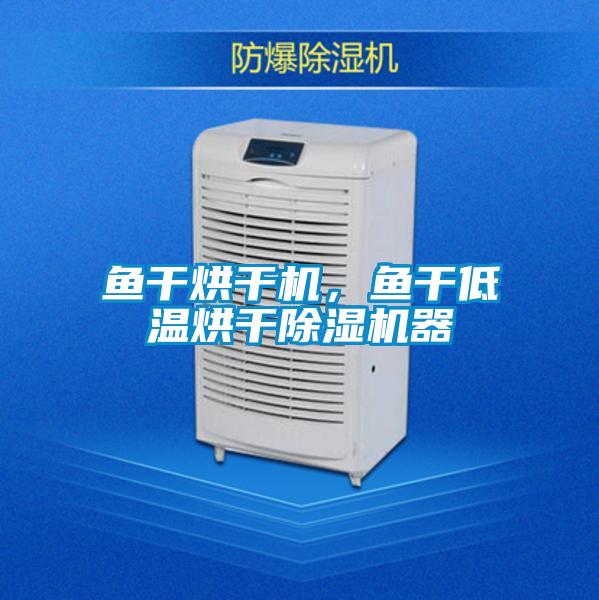 魚干烘干機(jī)，魚干低溫烘干除濕機(jī)器