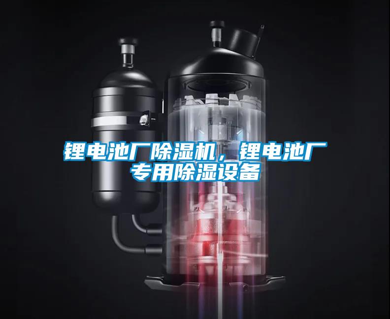 鋰電池廠除濕機，鋰電池廠專用除濕設(shè)備