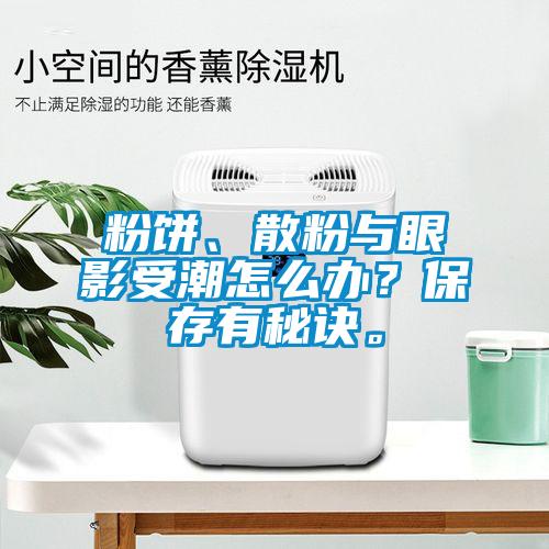 粉餅、散粉與眼影受潮怎么辦？保存有秘訣。