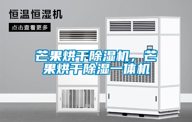 芒果烘干除濕機(jī)，芒果烘干除濕一體機(jī)