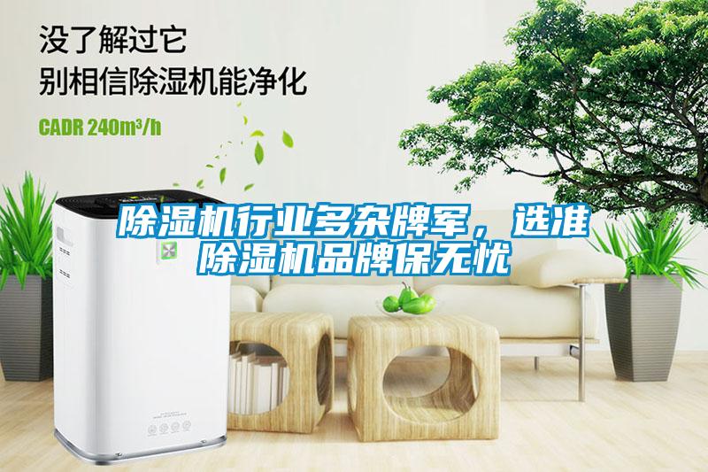 除濕機(jī)行業(yè)多雜牌軍，選準(zhǔn)除濕機(jī)品牌保無(wú)憂