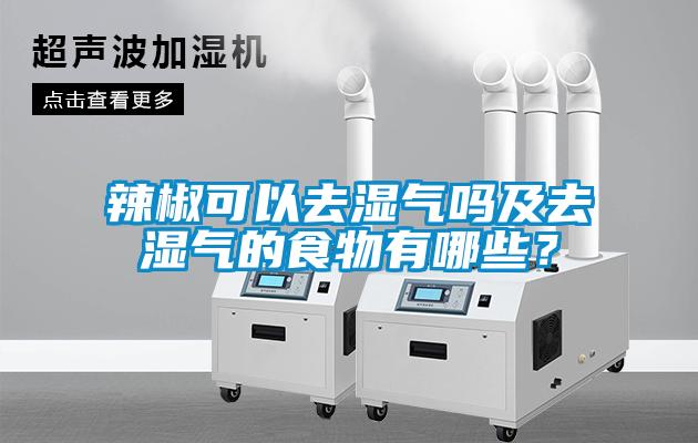 辣椒可以去濕氣嗎及去濕氣的食物有哪些？