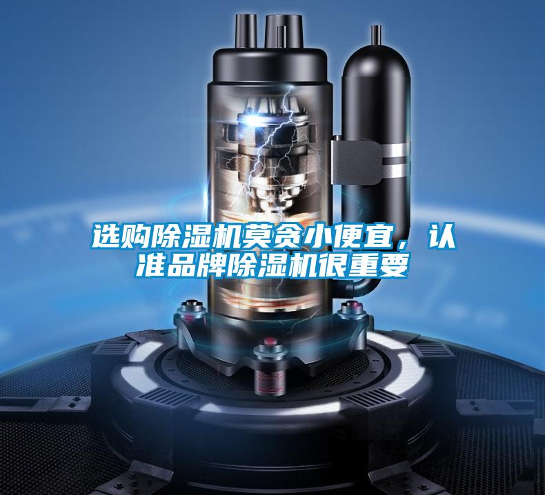 選購(gòu)除濕機(jī)莫貪小便宜，認(rèn)準(zhǔn)品牌除濕機(jī)很重要