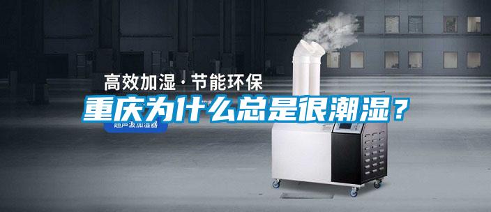 重慶為什么總是很潮濕？