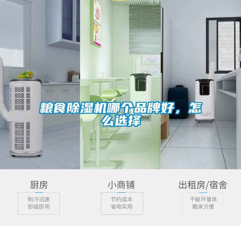 糧食除濕機(jī)哪個(gè)品牌好，怎么選擇