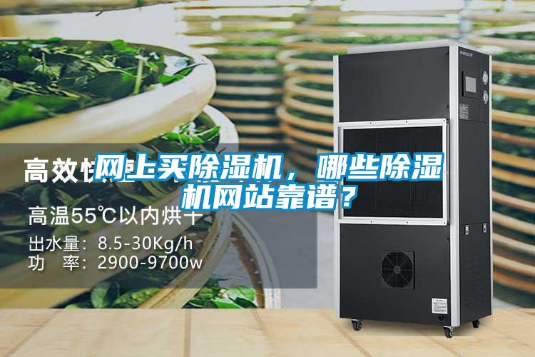 網(wǎng)上買(mǎi)除濕機(jī)，哪些除濕機(jī)網(wǎng)站靠譜？