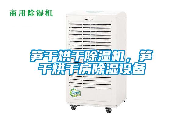 筍干烘干除濕機(jī)，筍干烘干房除濕設(shè)備