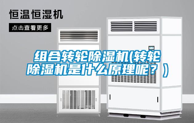 組合轉(zhuǎn)輪除濕機(轉(zhuǎn)輪除濕機是什么原理呢？)