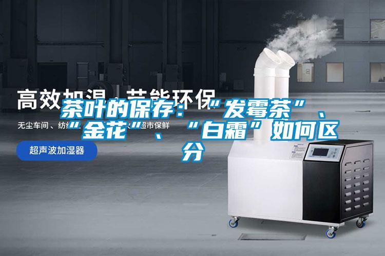 茶葉的保存：“發(fā)霉茶”、“金花”、“白霜”如何區(qū)分