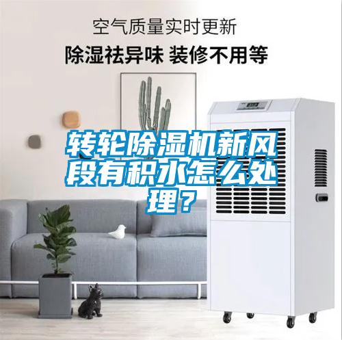 轉(zhuǎn)輪除濕機(jī)新風(fēng)段有積水怎么處理？
