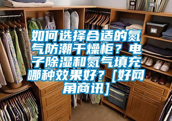 如何選擇合適的氮?dú)夥莱备稍锕?？電子除濕和氮?dú)馓畛淠姆N效果好？[好網(wǎng)角商訊]