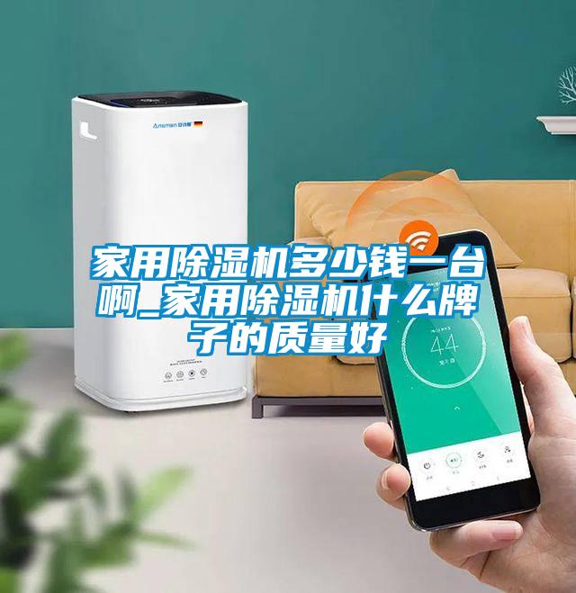 家用除濕機(jī)多少錢一臺(tái)啊_家用除濕機(jī)什么牌子的質(zhì)量好