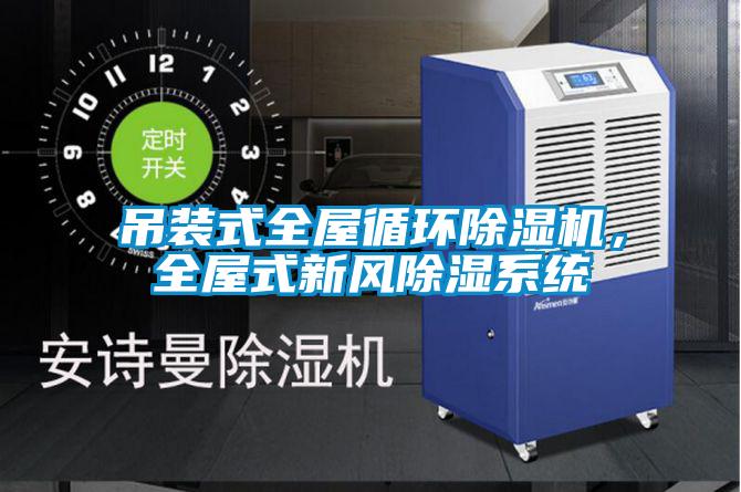 吊裝式全屋循環(huán)除濕機(jī)，全屋式新風(fēng)除濕系統(tǒng)