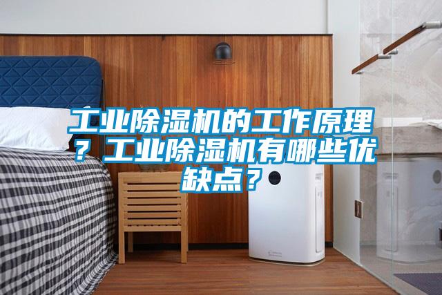 工業(yè)除濕機(jī)的工作原理？工業(yè)除濕機(jī)有哪些優(yōu)缺點(diǎn)？