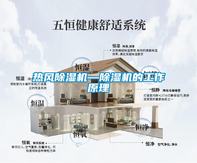 熱風(fēng)除濕機(jī)—除濕機(jī)的工作原理