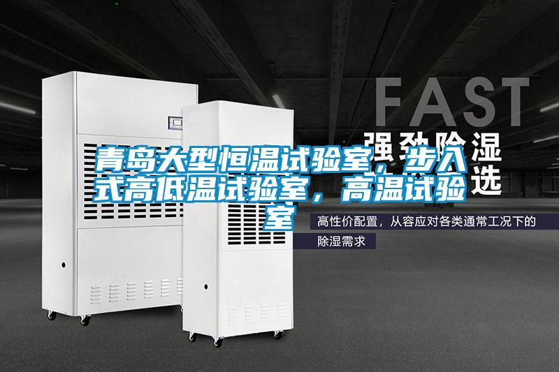 青島大型恒溫試驗(yàn)室，步入式高低溫試驗(yàn)室，高溫試驗(yàn)室