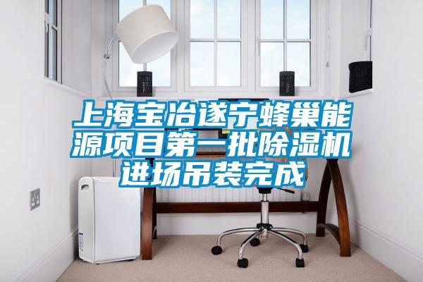 上海寶冶遂寧蜂巢能源項(xiàng)目第一批除濕機(jī)進(jìn)場吊裝完成