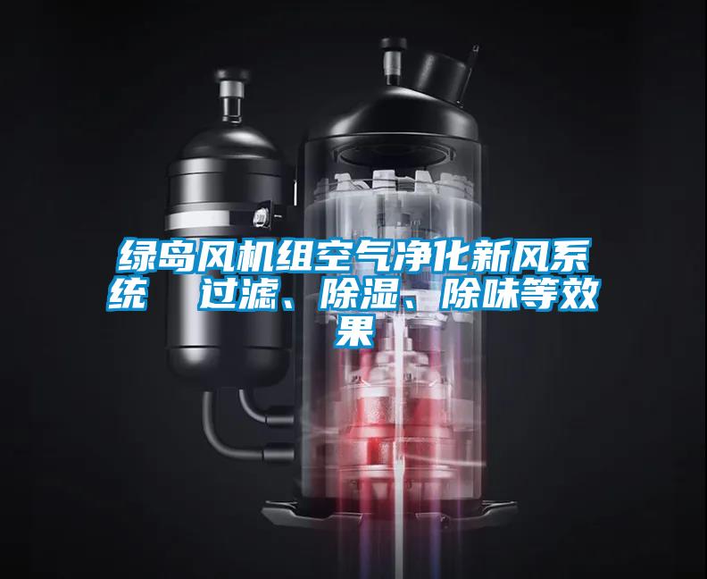 綠島風(fēng)機(jī)組空氣凈化新風(fēng)系統(tǒng)  過濾、除濕、除味等效果