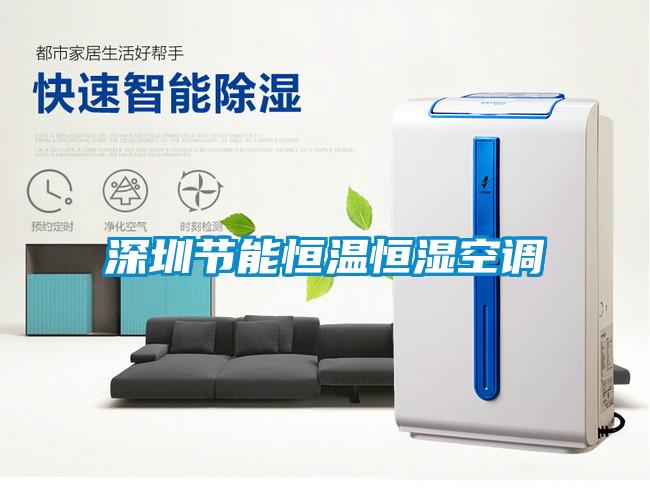 深圳節(jié)能恒溫恒濕空調(diào)