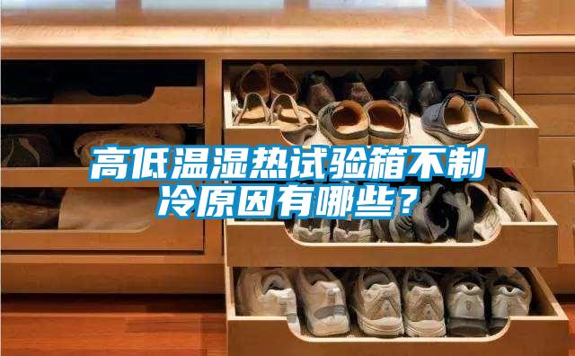 高低溫濕熱試驗箱不制冷原因有哪些？
