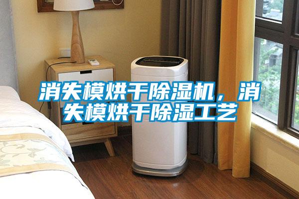 消失模烘干除濕機，消失模烘干除濕工藝
