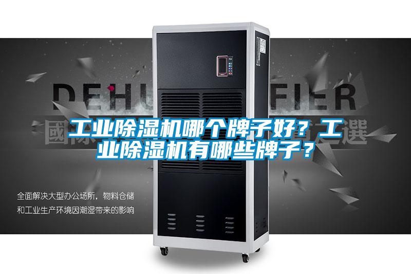 工業(yè)除濕機(jī)哪個(gè)牌子好？工業(yè)除濕機(jī)有哪些牌子？