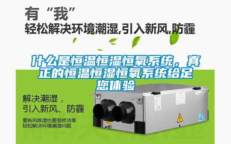 什么是恒溫恒濕恒氧系統(tǒng)，真正的恒溫恒濕恒氧系統(tǒng)給足您體驗(yàn)