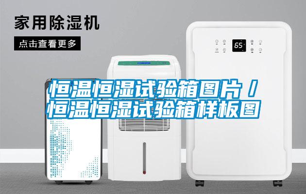 恒溫恒濕試驗箱圖片／恒溫恒濕試驗箱樣板圖